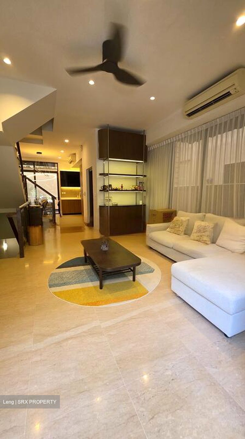 Holland Link (D10), Terrace #466827191